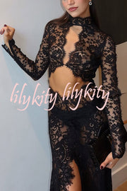 Dark Night Charm Sheer Lace Cutout Long Sleeve Stretch Maxi Dress