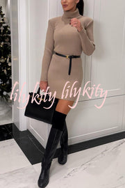 Chilly Morning Ribbed Knit Turtleneck Long Sleeve Mini Dress