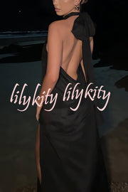 Floral Embellished Satin Halterneck Backless Resort Maxi Dress