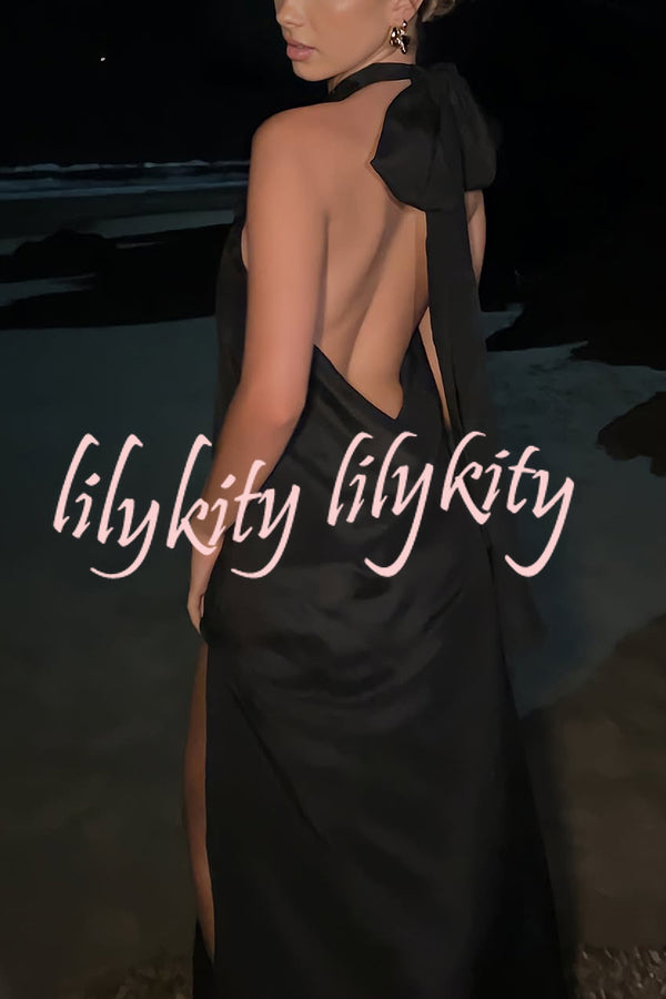 Floral Embellished Satin Halterneck Backless Resort Maxi Dress
