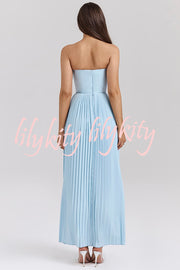 Romantic and Elegant Pleated Strapless Maxi Dress