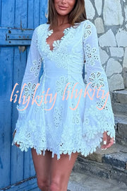 Diaz Embroidery Hollow Fabric Delicate Flower Trim Long Sleeve Side Lace-up Mini Dress