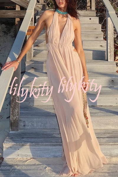 Ethereal Moment Tulle Cutout Ruched Waist Backless Halter Maxi Dress