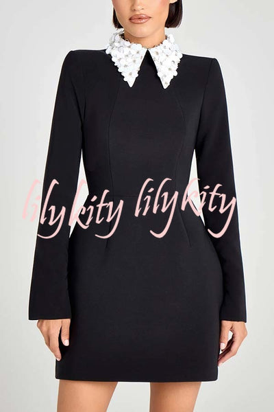 Alisha Contrast Floral Appliqué Pointed Collar Long Sleeve Pocketed Mini Dress
