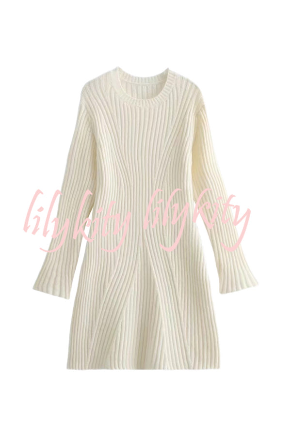 Beautiful Basic Ribbed Knit Long Slit Sleeve Flare Stretch Dress