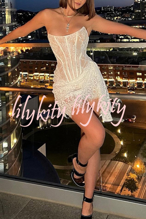 Amazing Lace Mesh Off Shoulder Slightly See Through Slim Fit Mini Dress