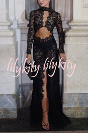 Dark Night Charm Sheer Lace Cutout Long Sleeve Stretch Maxi Dress