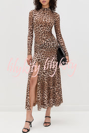 Revina Mesh Leopard Print Mock Neck Gathered Waist Long Sleeve Stretch Midi Dress