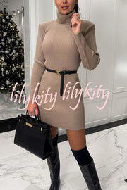 Chilly Morning Ribbed Knit Turtleneck Long Sleeve Mini Dress