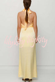 Like A Gem Satin Colorblock Halter Backless Party Maxi Dress