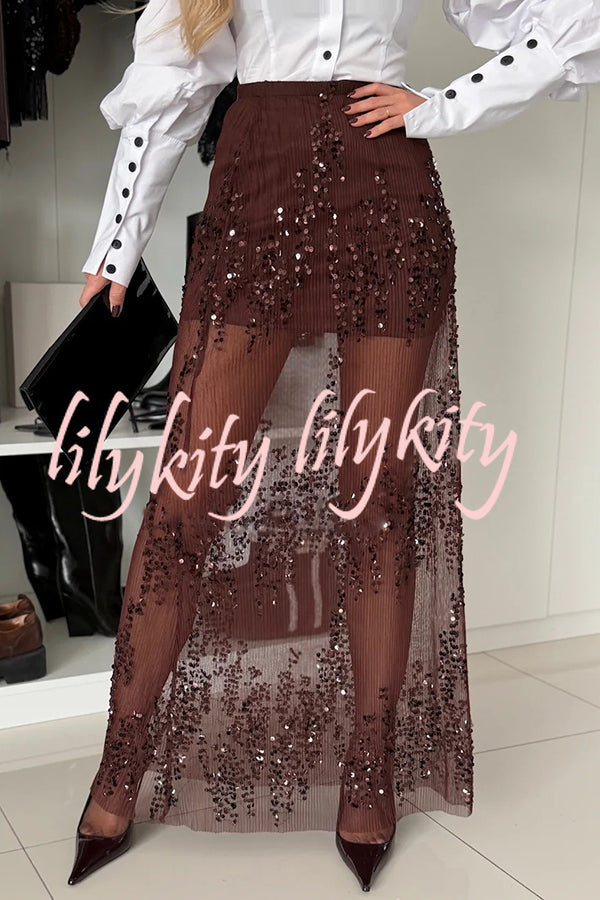 Darling Details Sequin Embroidered Tulle High Rise Elastic Waist Maxi Skirt