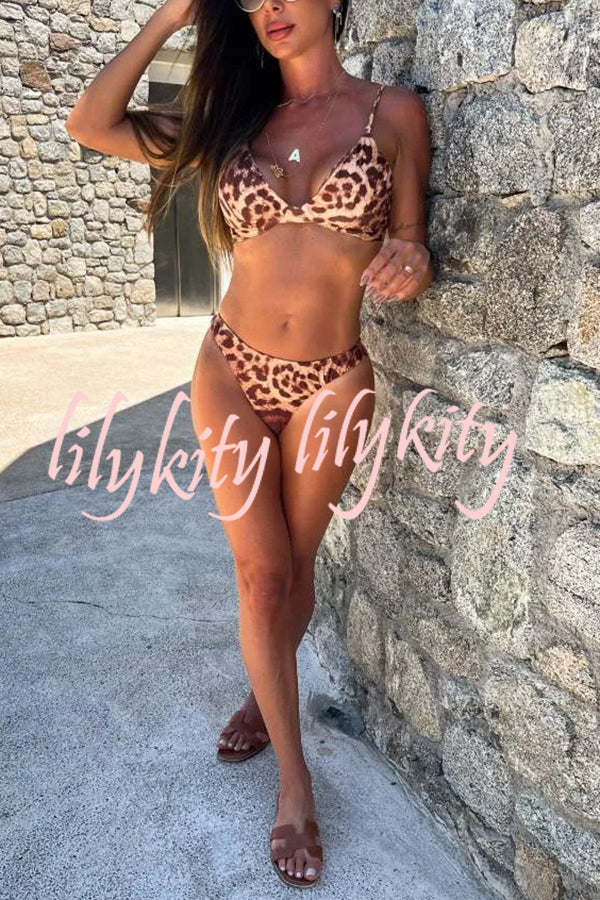 Leopard Print Sexy Stretch Two-piece Bikini Swimsuit