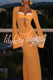 Seaside Goddess Crochet Knit Hollow Out Golden Ring Long Sleeve Cover-up Maxi Dress