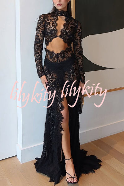 Dark Night Charm Sheer Lace Cutout Long Sleeve Stretch Maxi Dress