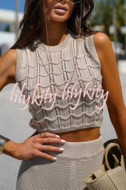 Solid Color Hollow Sleeveless Round Neck Knitted Vest and Stretch Casual Straight Pants Set