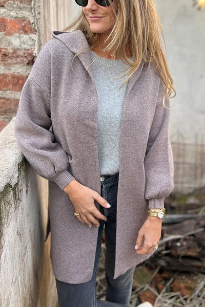 Solid Color Casual Hooded Long Sleeve Pocket Loose Jacket