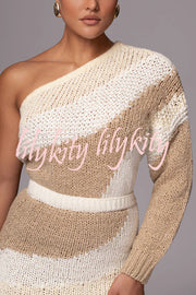 Soft Autumn Knit Colorblock One Shoulder Sleeve Ribbed Trim Loose Sweater