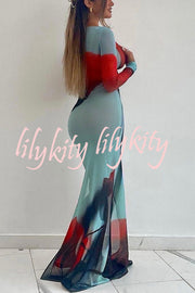 Mesh Floral Print Round Neck Long Sleeve Stretch Maxi Dress